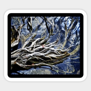 Alien creature mimicking tree roots Sticker